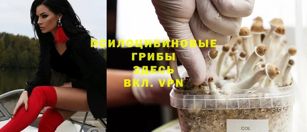 метадон Алексин