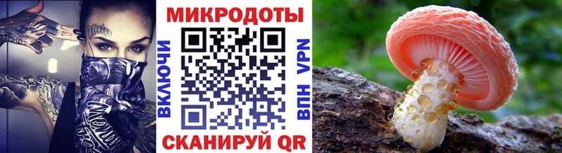 Псилоцибиновые грибы мухоморы ссылка на мегу tor Славск наркошоп